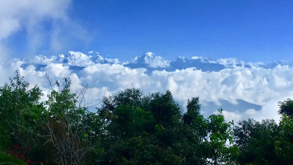 b659a653-c874-40b9-9658-74ef3b1dca42