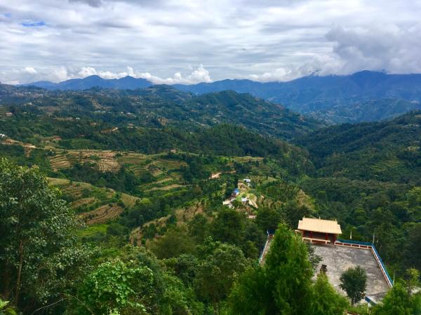 fe137922-2e87-4641-af42-377a3bc77030